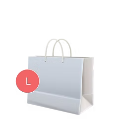 Горизонтальний паперовий пакет L — LABGIFT