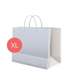 Горизонтальний паперовий пакет XL — LABGIFT